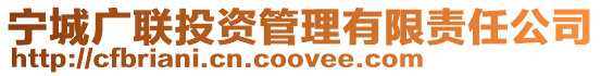 寧城廣聯(lián)投資管理有限責任公司