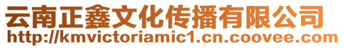 云南正鑫文化傳播有限公司