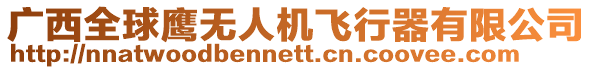 廣西全球鷹無人機飛行器有限公司