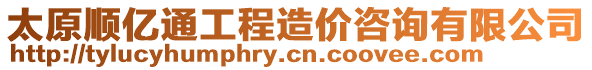 太原順億通工程造價咨詢有限公司