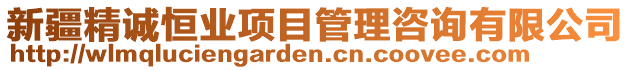 新疆精誠恒業項目管理咨詢有限公司