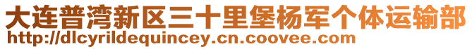 大連普灣新區三十里堡楊軍個體運輸部