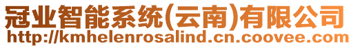 冠業(yè)智能系統(tǒng)(云南)有限公司