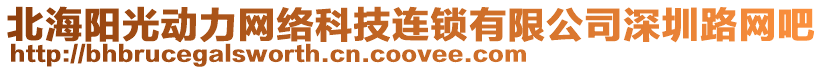 北海陽光動力網絡科技連鎖有限公司深圳路網吧
