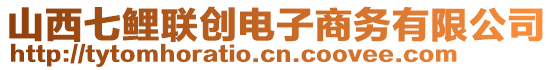 山西七鯉聯(lián)創(chuàng)電子商務有限公司