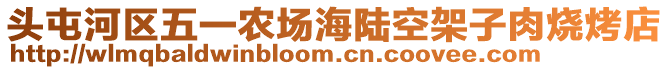 頭屯河區(qū)五一農(nóng)場海陸空架子肉燒烤店