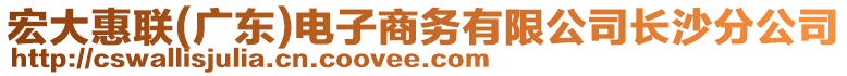 宏大惠聯(lián)(廣東)電子商務(wù)有限公司長沙分公司