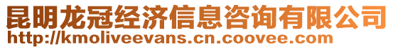 昆明龍冠經(jīng)濟(jì)信息咨詢有限公司