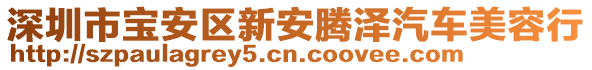 深圳市寶安區(qū)新安騰澤汽車美容行