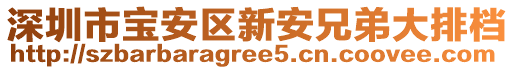 深圳市寶安區新安兄弟大排檔