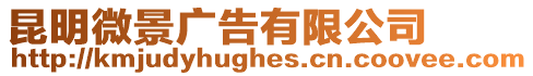 昆明微景廣告有限公司