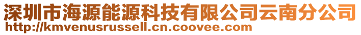 深圳市海源能源科技有限公司云南分公司