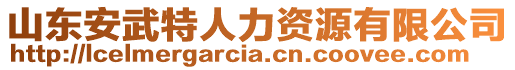 山東安武特人力資源有限公司