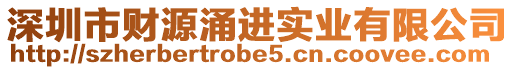 深圳市財源涌進實業有限公司