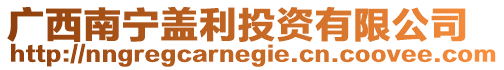 廣西南寧蓋利投資有限公司