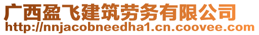 廣西盈飛建筑勞務有限公司