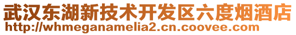 武漢東湖新技術開發區六度煙酒店