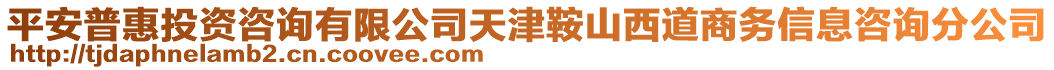 平安普惠投資咨詢有限公司天津鞍山西道商務信息咨詢分公司