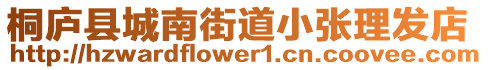 桐廬縣城南街道小張理發店