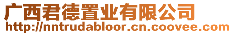 廣西君德置業有限公司