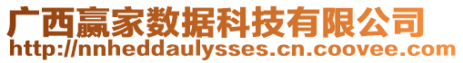 廣西贏家數(shù)據(jù)科技有限公司