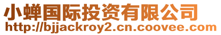 小蟬國際投資有限公司