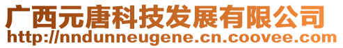 廣西元唐科技發(fā)展有限公司