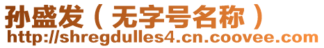孫盛發(無字號名稱)