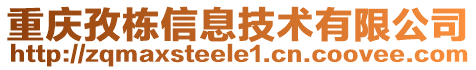 重慶孜棟信息技術(shù)有限公司