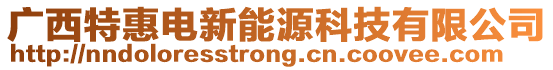 廣西特惠電新能源科技有限公司