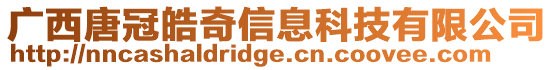 廣西唐冠皓奇信息科技有限公司