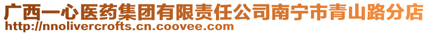廣西一心醫藥集團有限責任公司南寧市青山路分店