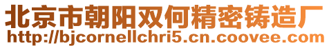 北京市朝陽雙何精密鑄造廠