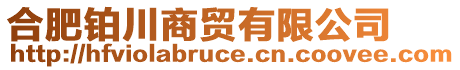 合肥鉑川商貿有限公司