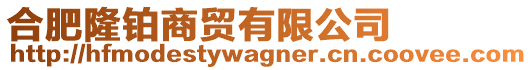 合肥隆鉑商貿有限公司