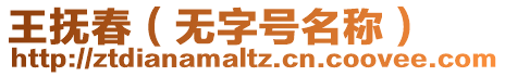 王撫春(無字號名稱)
