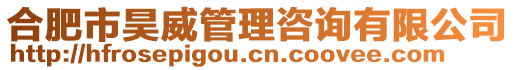 合肥市昊威管理咨詢有限公司