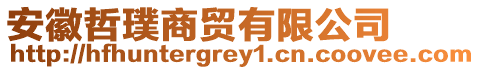 安徽哲璞商貿(mào)有限公司