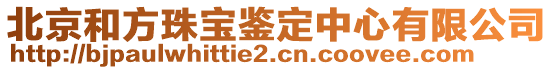 北京和方珠寶鑒定中心有限公司