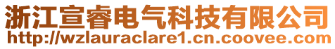 浙江宣睿電氣科技有限公司