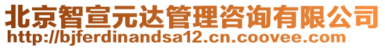 北京智宣元達(dá)管理咨詢有限公司