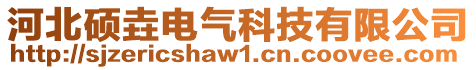 河北碩垚電氣科技有限公司