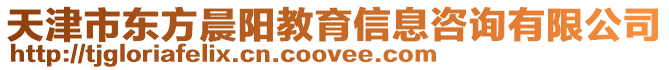 天津市東方晨陽教育信息咨詢有限公司