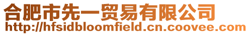 合肥市先一貿易有限公司