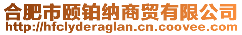 合肥市颐铂纳商贸有限公司