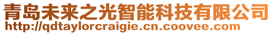 青島未來之光智能科技有限公司