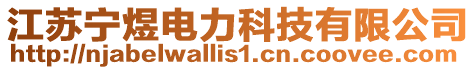 江蘇寧?kù)想娏萍加邢薰? style=