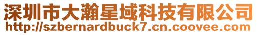 深圳市大瀚星域科技有限公司