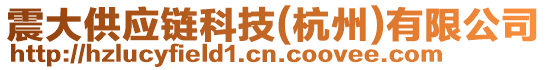 震大供應(yīng)鏈科技(杭州)有限公司