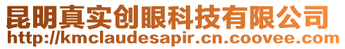 昆明真實創(chuàng)眼科技有限公司